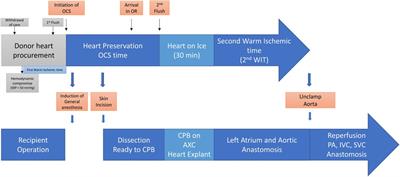 Case report: Heart retransplant from a donor after circulatory death and extended transport period with normothermic perfusion